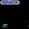 TGU H1229