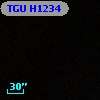TGU H1234