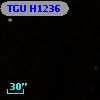 TGU H1236