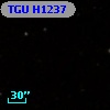 TGU H1237