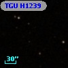 TGU H1239