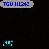 TGU H1242
