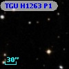 TGU H1263 P1