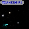 TGU H1293 P1