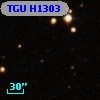 TGU H1303