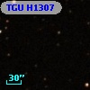 TGU H1307