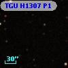 TGU H1307 P1