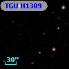 TGU H1309