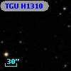 TGU H1310