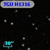TGU H1316