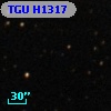 TGU H1317