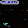 TGU H1323