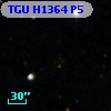 TGU H1364 P5