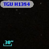 TGU H1384