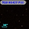 TGU H1427 P11
