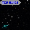 TGU H1429