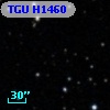 TGU H1460