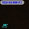 TGU H1490 P2