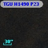 TGU H1490 P23