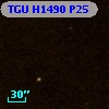 TGU H1490 P25