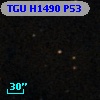 TGU H1490 P53