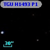 TGU H1493 P1