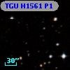 TGU H1561 P1