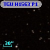 TGU H1563 P1