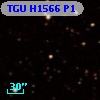 TGU H1566 P1