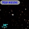 TGU H1591