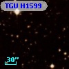 TGU H1599