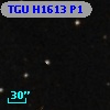 TGU H1613 P1