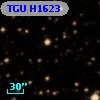 TGU H1623