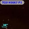 TGU H1667 P1
