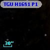 TGU H1681 P1
