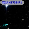 TGU H1739 P1