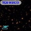 TGU H1823