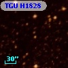 TGU H1828