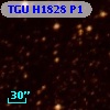 TGU H1828 P1