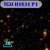 TGU H1831 P1