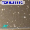 TGU H1851 P2