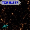 TGU H1877