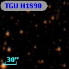 TGU H1890