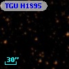 TGU H1895