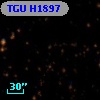 TGU H1897