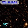 TGU H1901