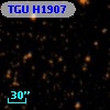 TGU H1907