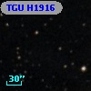 TGU H1916