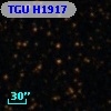 TGU H1917