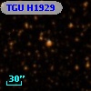 TGU H1929